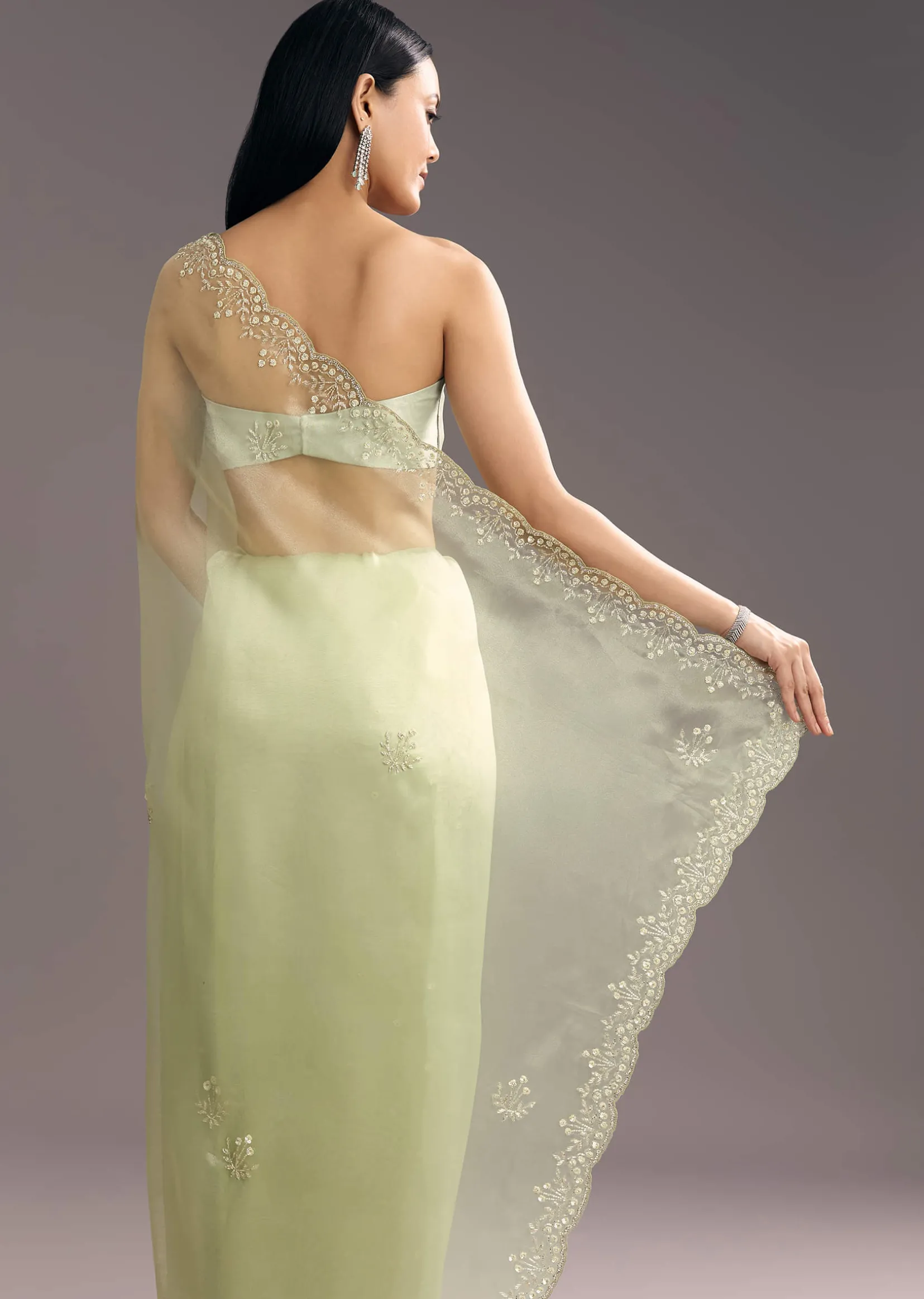 Apple Green Glass Tissue Saree With Cutdana Embroidery