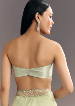 Apple Green Glass Tissue Saree With Cutdana Embroidery