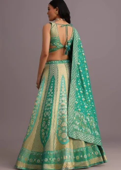 Aqua Green Embroidered Choli With Banarasi Weave Lehenga And Dupatta