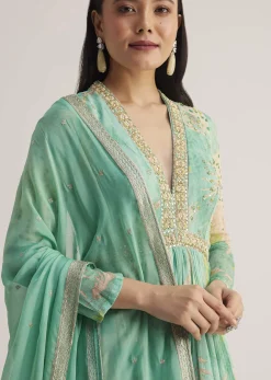 Aqua Green Printed Anarkali With Embroidered Dupatta
