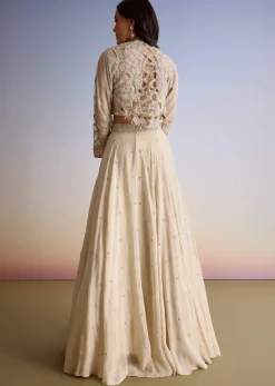 Beige Chinon Lehenga Jacket Set With Beads And Cutdana Work