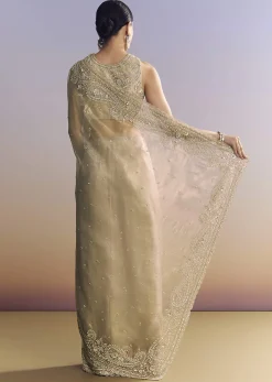 Beige Crush Tissue Saree With Multitech Embroidery