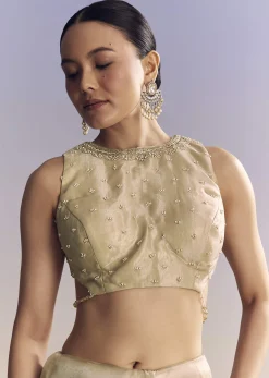 Beige Crush Tissue Saree With Multitech Embroidery