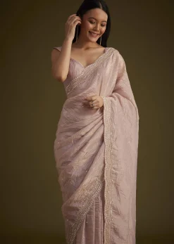 Beige Crushed Tissue Saree With Embroidered Border