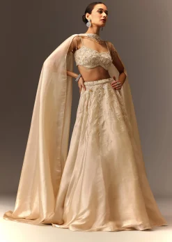 Beige Embroidered Blouse With Skirt And Choker Dupatta