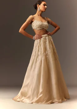 Beige Embroidered Blouse With Skirt And Choker Dupatta