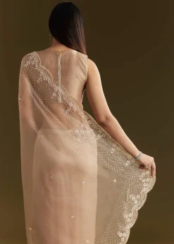 Beige Glass Tissue Embroidered Saree With Scallop Border