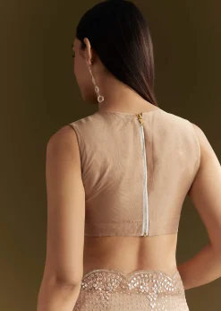 Beige Glass Tissue Embroidered Saree With Scallop Border