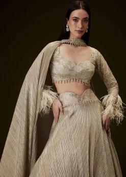 Beige Gold Crush Fabric Lehenga With Feather Sleeve Blouse