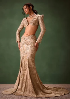 Beige Heavy Embroidered Skirt Suit With Full Sleeves V Neck Blouse