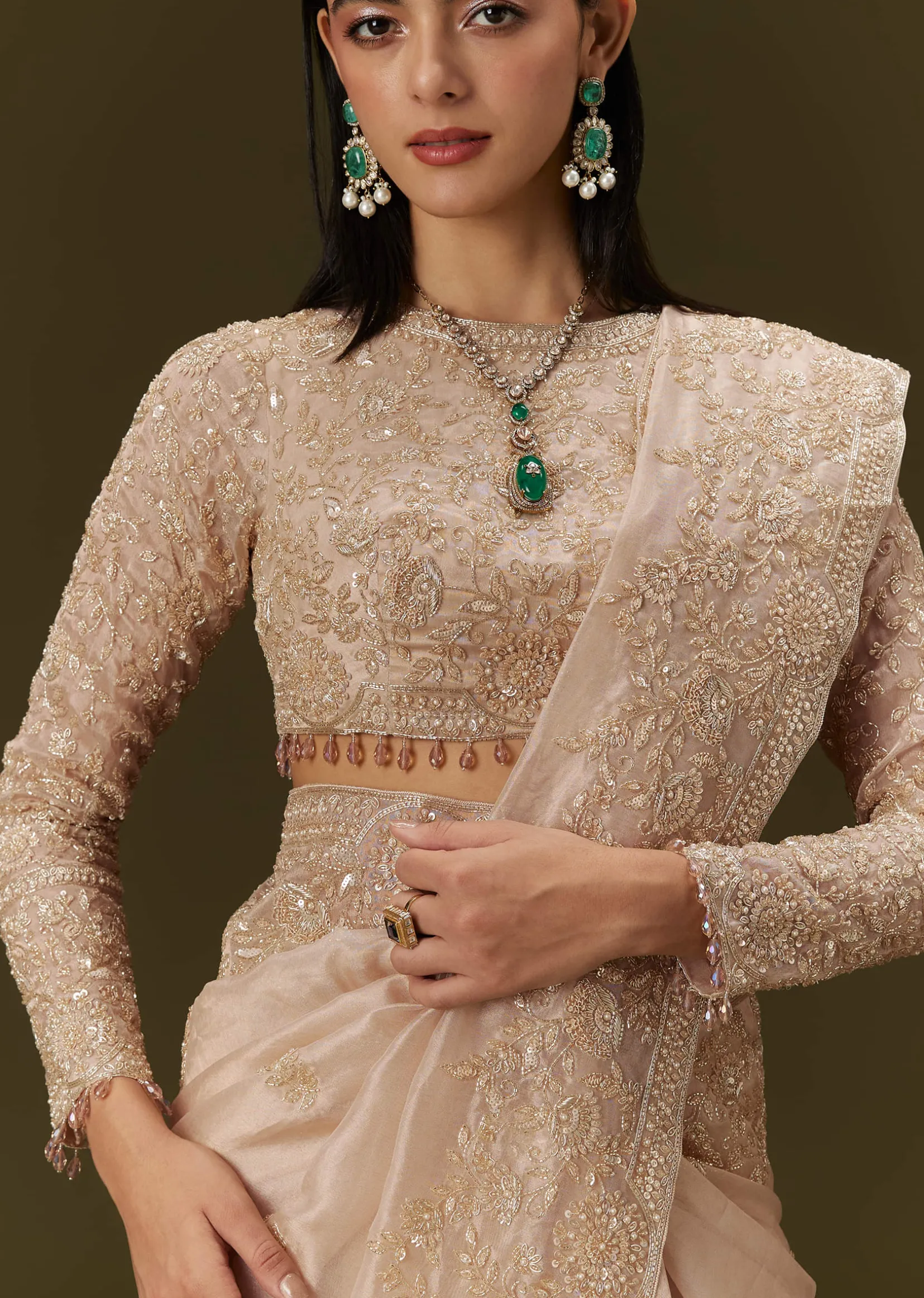 Beige Ivory Tissue Saree With Velvet Embroidered Blouse
