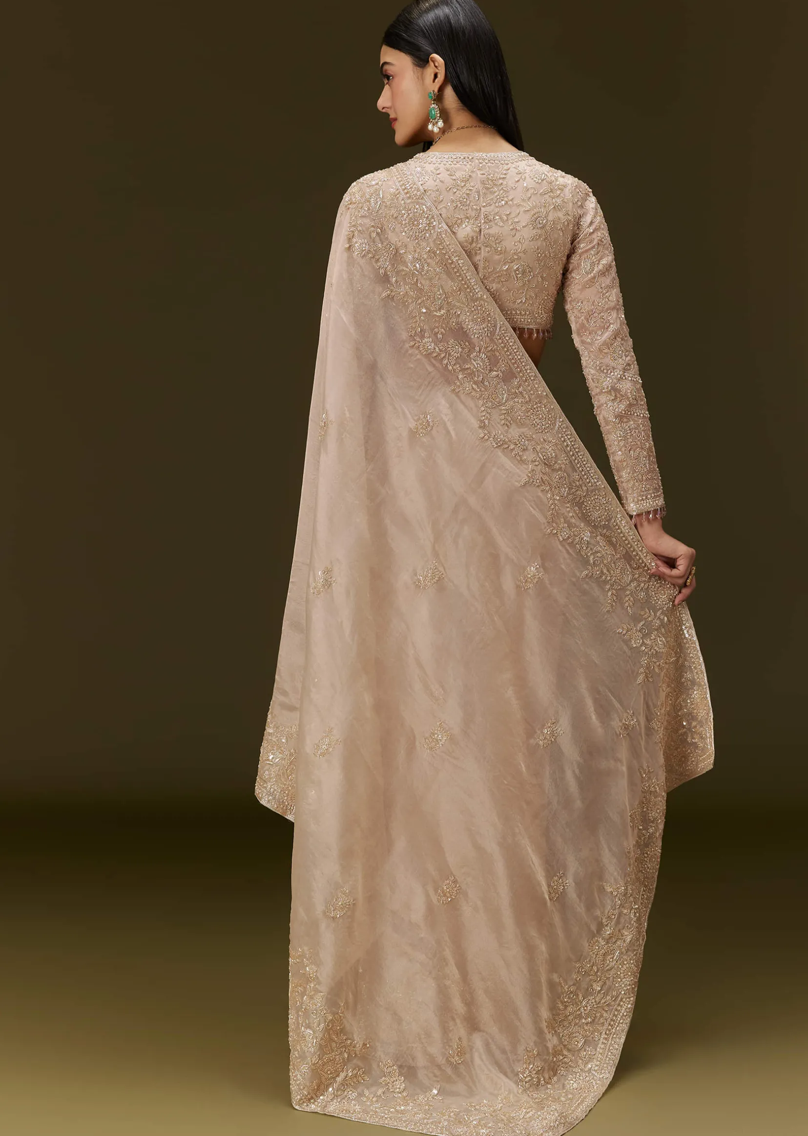 Beige Ivory Tissue Saree With Velvet Embroidered Blouse