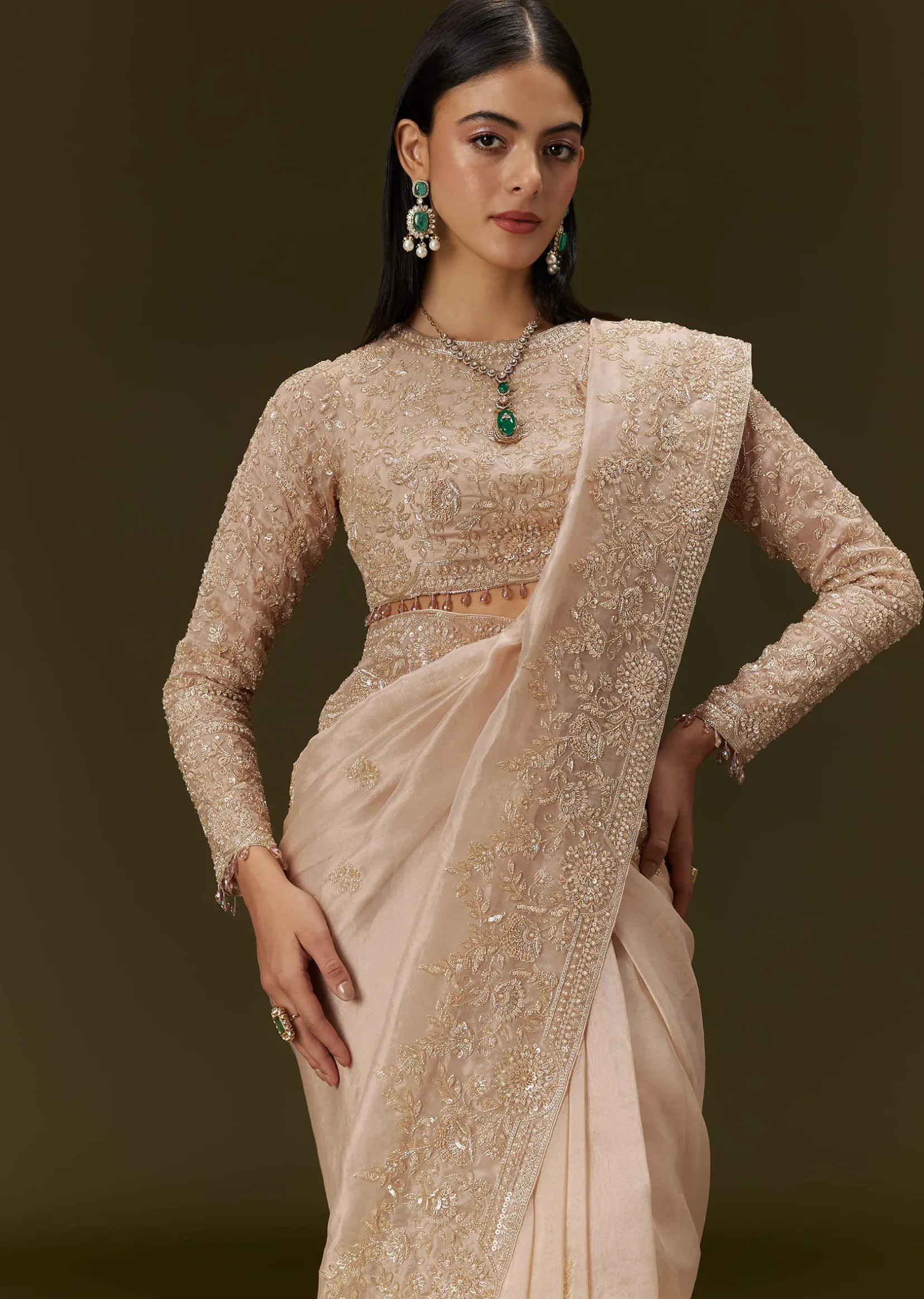 Beige Ivory Tissue Saree With Velvet Embroidered Blouse