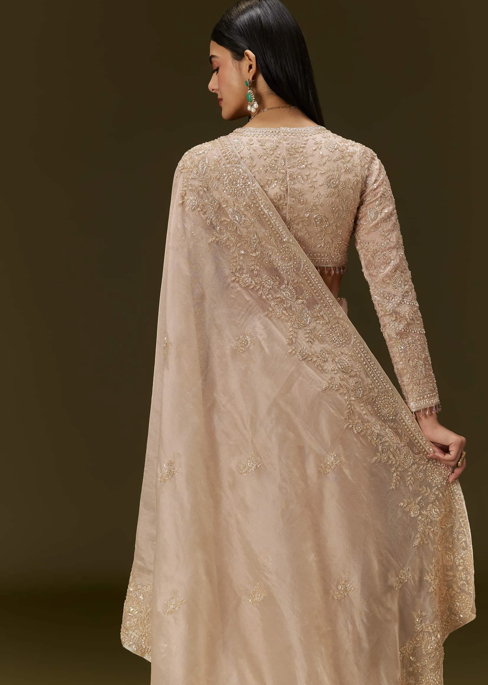 Beige Ivory Tissue Saree With Velvet Embroidered Blouse