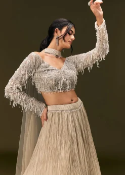 Beige Net Embroidered Blouse With Ruched Lehenga And Choker Dupatta