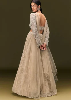 Beige Net Embroidered Blouse With Ruched Lehenga And Choker Dupatta