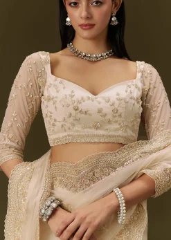 Beige Net Saree With Heavy All Over Embroidery