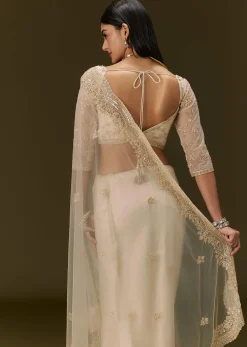 Beige Net Saree With Heavy All Over Embroidery