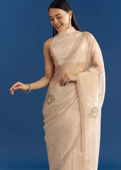 Beige Organza Tissue Saree With Delicate Embellished Edge