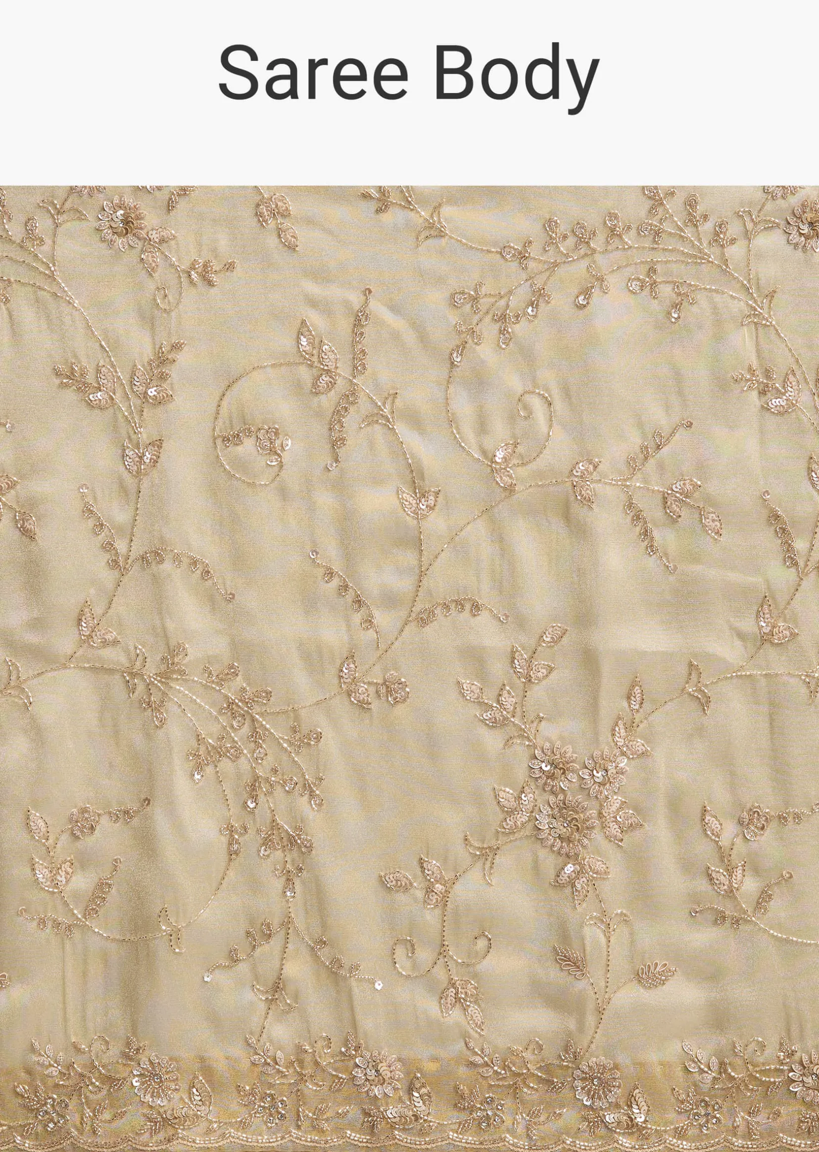 Beige Tissue Saree with Floral and Cutdana Embroidery