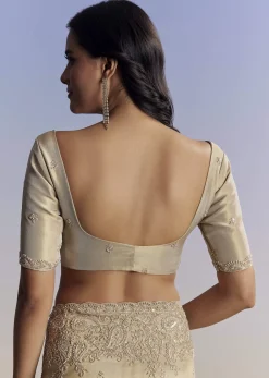 Beige Tissue Saree With Hand Embroidery With Cutdana And Sequins