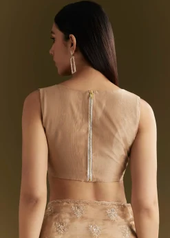 Beige Tissue Saree With Heavy Cutdana And Beads Embroidery