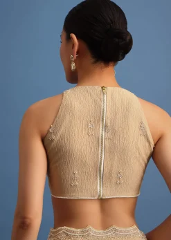 Beige Tissue Saree With Moti And Cutdana Border And Unstitched Blouse