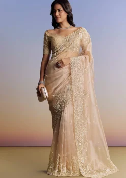 Beige Tissue Saree With Scallop Border And All Over Floral Embroidery