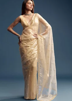 Beige Tissue Saree With Vine And Floral Embroidery