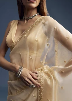 Beige Tissue Saree With Vine And Floral Embroidery