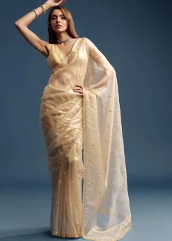 Beige Tissue Saree With Vine And Floral Embroidery