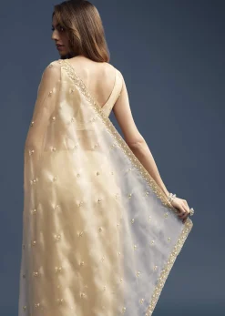 Beige Tissue Saree With Vine And Floral Embroidery
