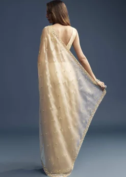 Beige Tissue Saree With Vine And Floral Embroidery