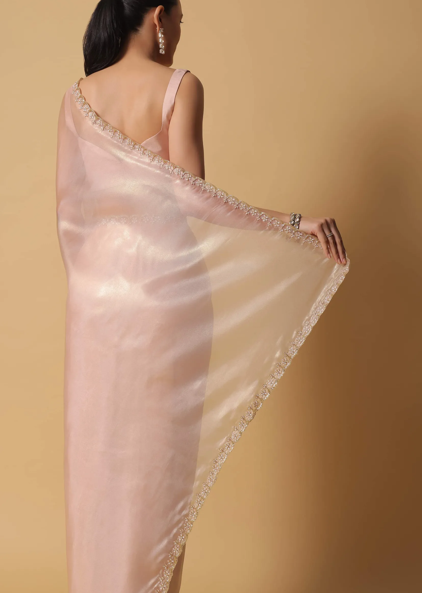 Beige Toned Foil Saree In Tissue With Cut Dana Embroidered Borders