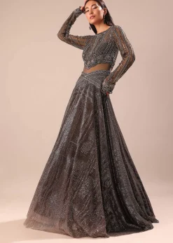 Black Ombre Embroidered Net Gown