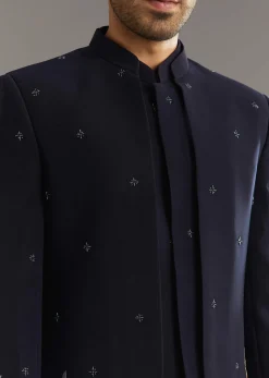 Blue Cutdana Embroidered Indo Western Set With Bird And Floral Motif