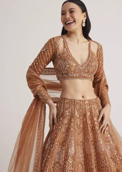 Brown Embellished Lehenga Set With Detailed Embroidery