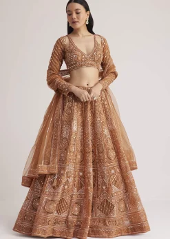 Brown Embellished Lehenga Set With Detailed Embroidery