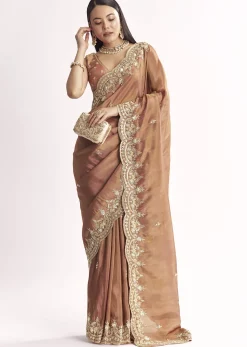 Brown Rust Crush Tissue Saree With Gota Zari And Beads Embroidery