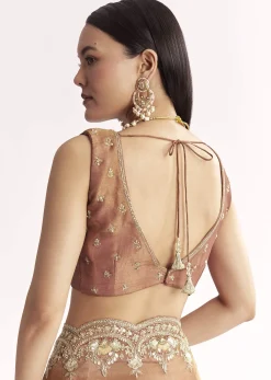 Brown Rust Crush Tissue Saree With Gota Zari And Beads Embroidery
