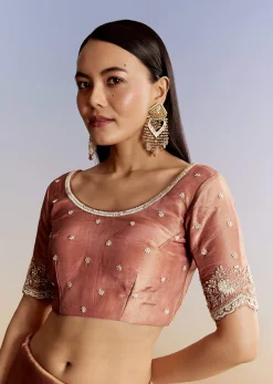 Brown Rust Crush Tissue Saree With Gota And Beads Embroidery
