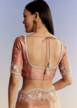 Brown Rust Crush Tissue Saree With Gota And Beads Embroidery