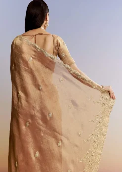 Brown Rust Tissue Saree With Moti Beads And Sequins