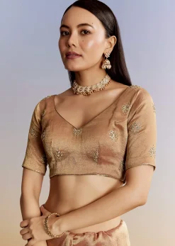 Brown Rust Tissue Saree With Moti Beads And Sequins