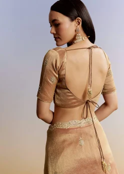 Brown Rust Tissue Saree With Moti Beads And Sequins