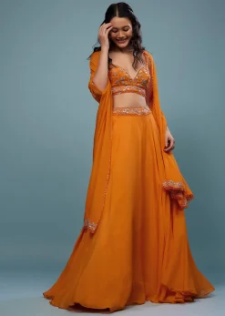 Carrot Orange Embroidered Lehenga Set In Organza