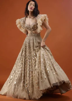 Champagne Gold Angelic Net Gown With Mirror Work And Ruffle Sleeves - NOOR 2022