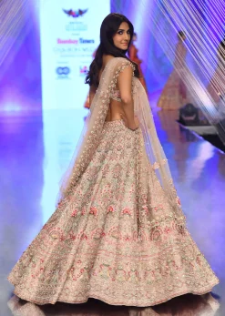 Charm Pink Rumi Lehenga Set In 3D Flower Motifs And Abla Embroidery, Crop Top Comes With The Similar Embroidery