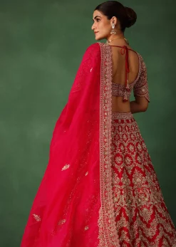 Cherry Red Hand Embroidered Raw Silk Lehenga Set With Net Dupatta