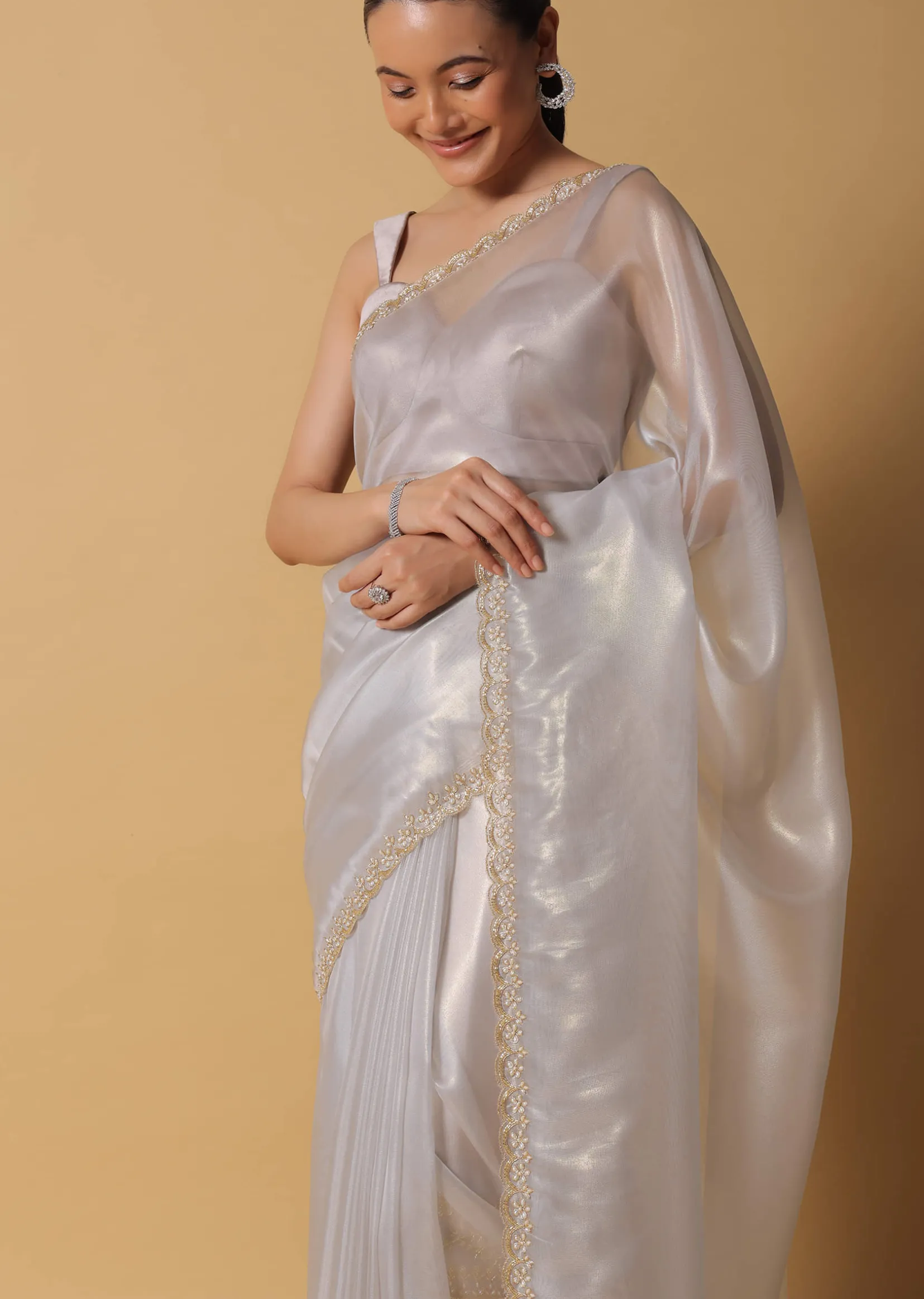 Cloud Grey Foil Saree In Tissue With Cut Dana Embroidered Borders